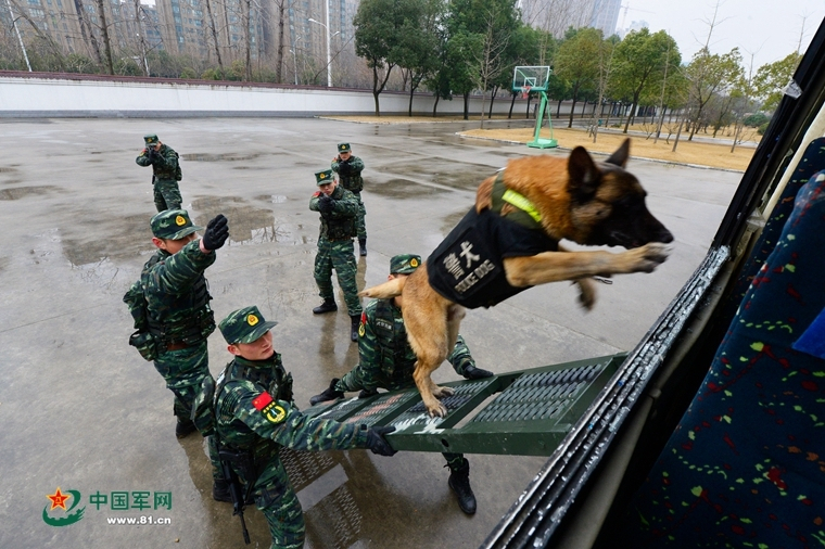 清朝妃以上过生日叫什么